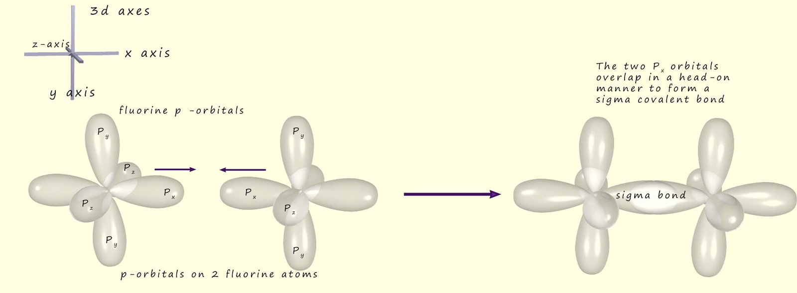 Diagram showing the head on overlap of p-orbitals in two fluorine atoms to form a sigma covalent bond.